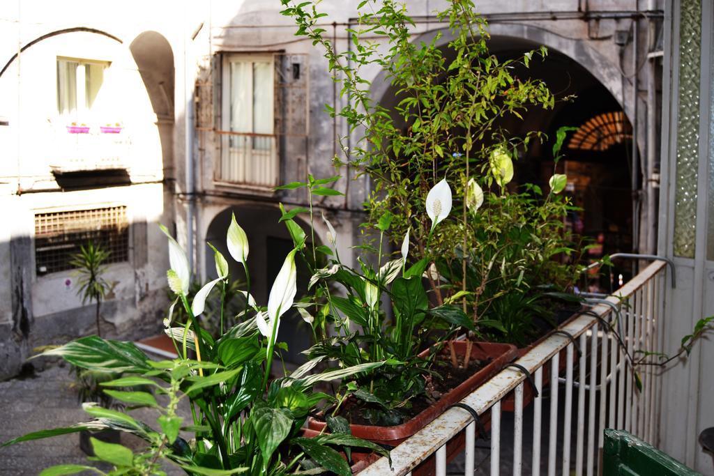 Bella Napoli Art Gallery Luaran gambar